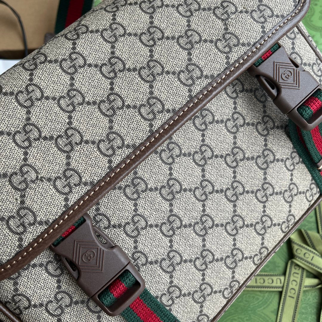 Gucci Bag Brown mix Beige Canvas 240098 mysite