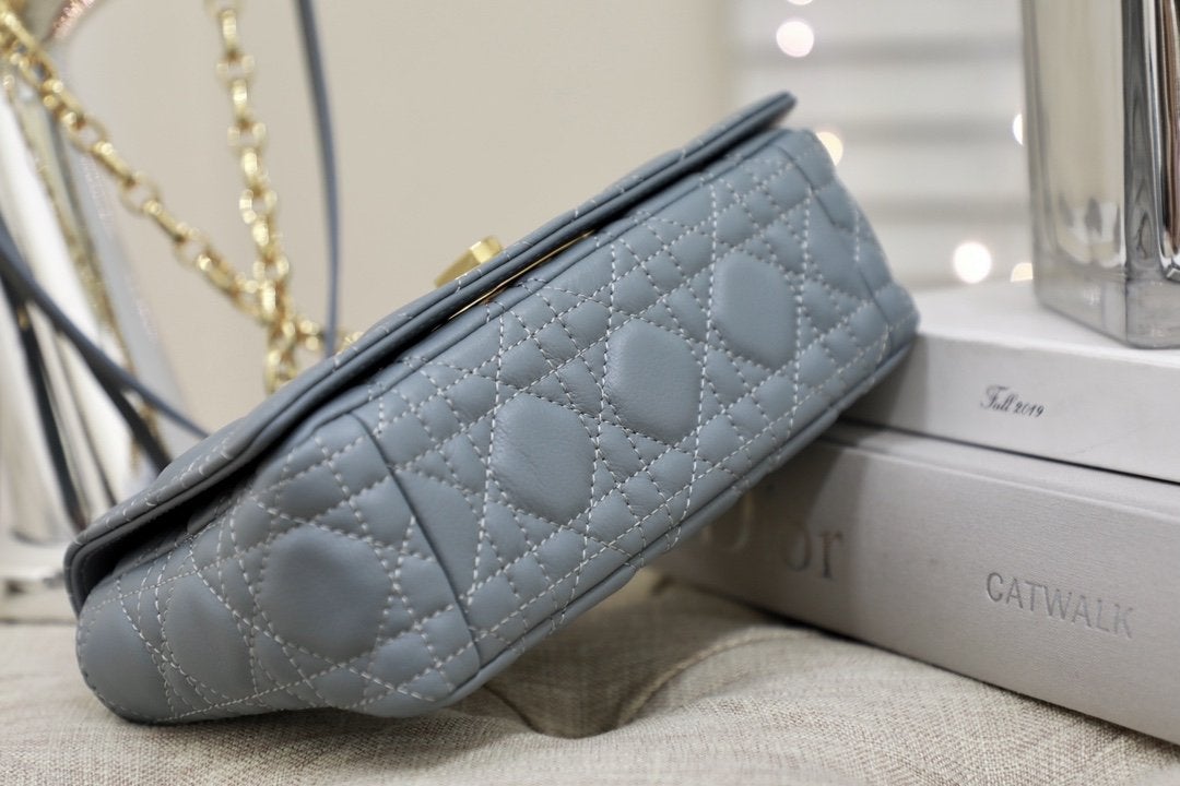 SMALL CARO BAG GRAY SUPPLE CANNAGE CALFSKIN mysite