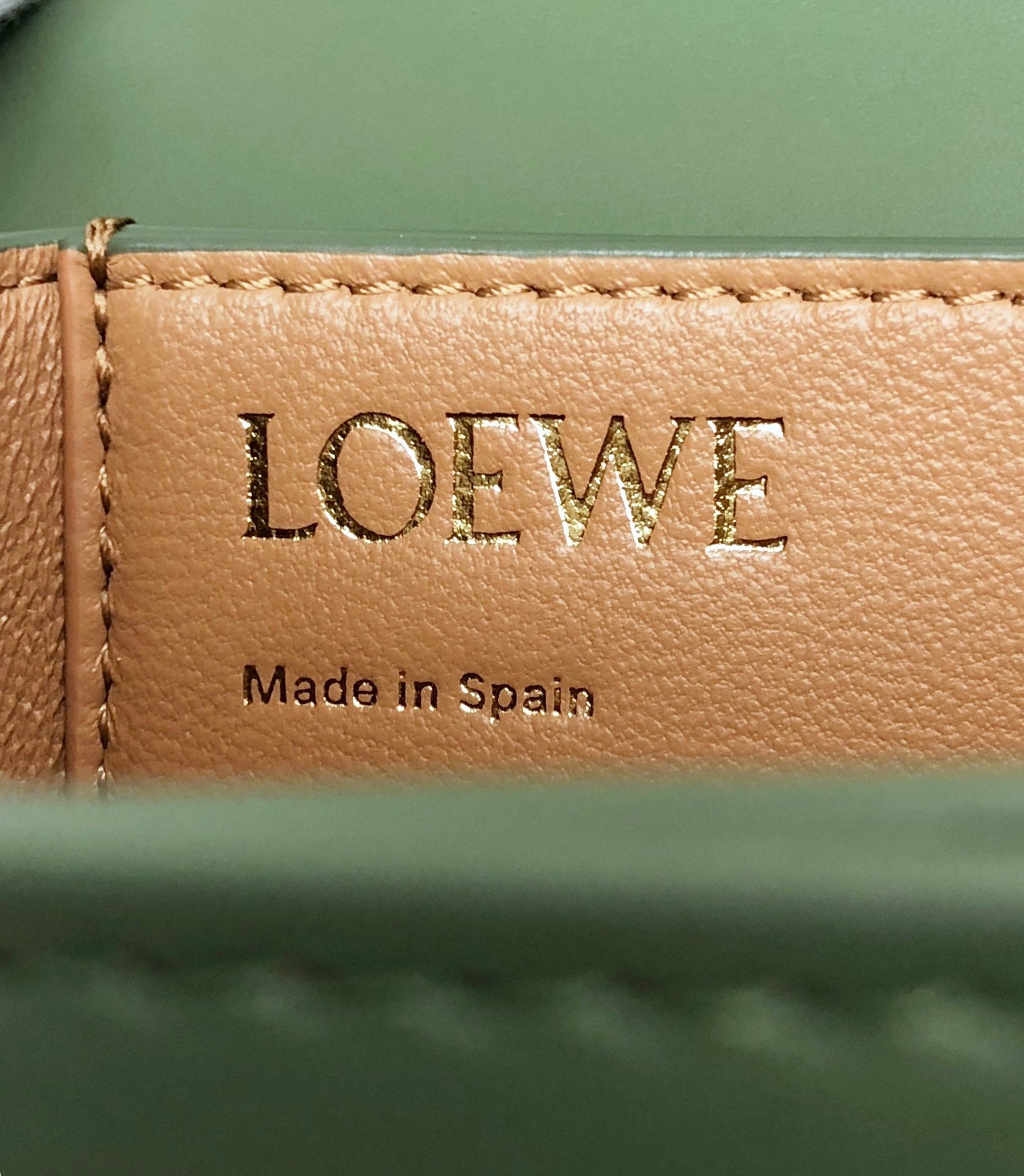 GOYA 18 BAG IN AVOCADO GREEN SILK CALFSKIN mysite