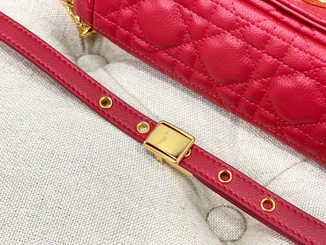 SMALL CARO BAG 20 RED CALFSKIN mysite