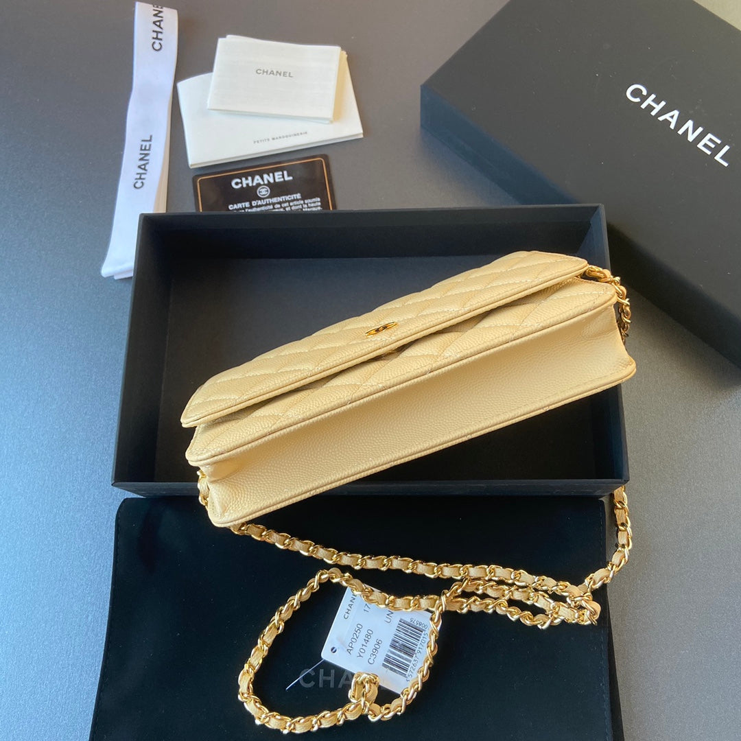 CC Woc 20cm Lime Grained Calfskin Gold Hardware mysite
