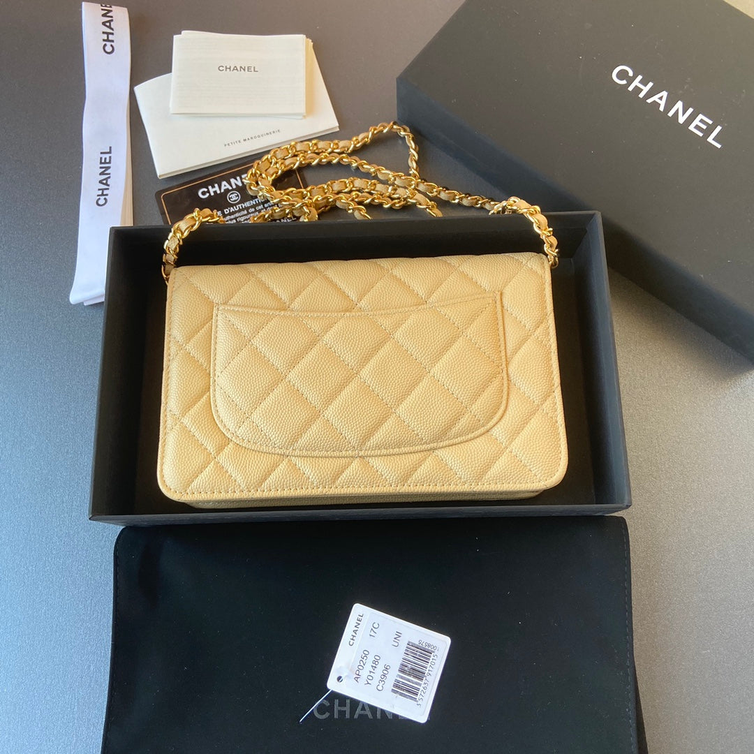CC Woc 20cm Lime Grained Calfskin Gold Hardware mysite