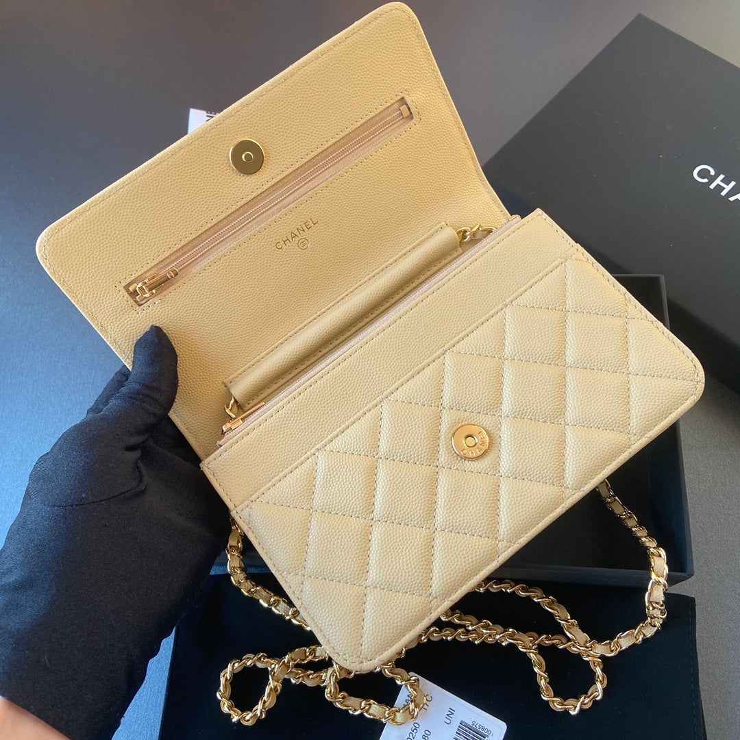 CC Woc 20cm Lime Grained Calfskin Gold Hardware mysite