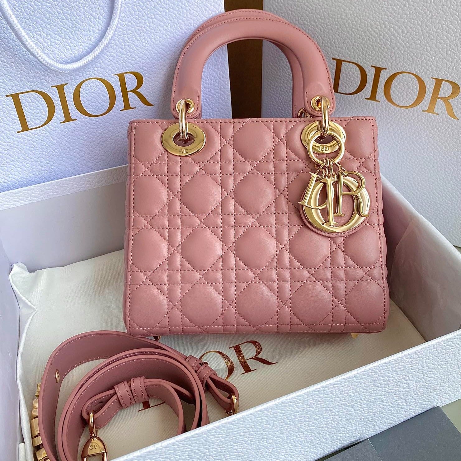 SMALL LADY 20 POWDER PINK LAMBSKIN mysite