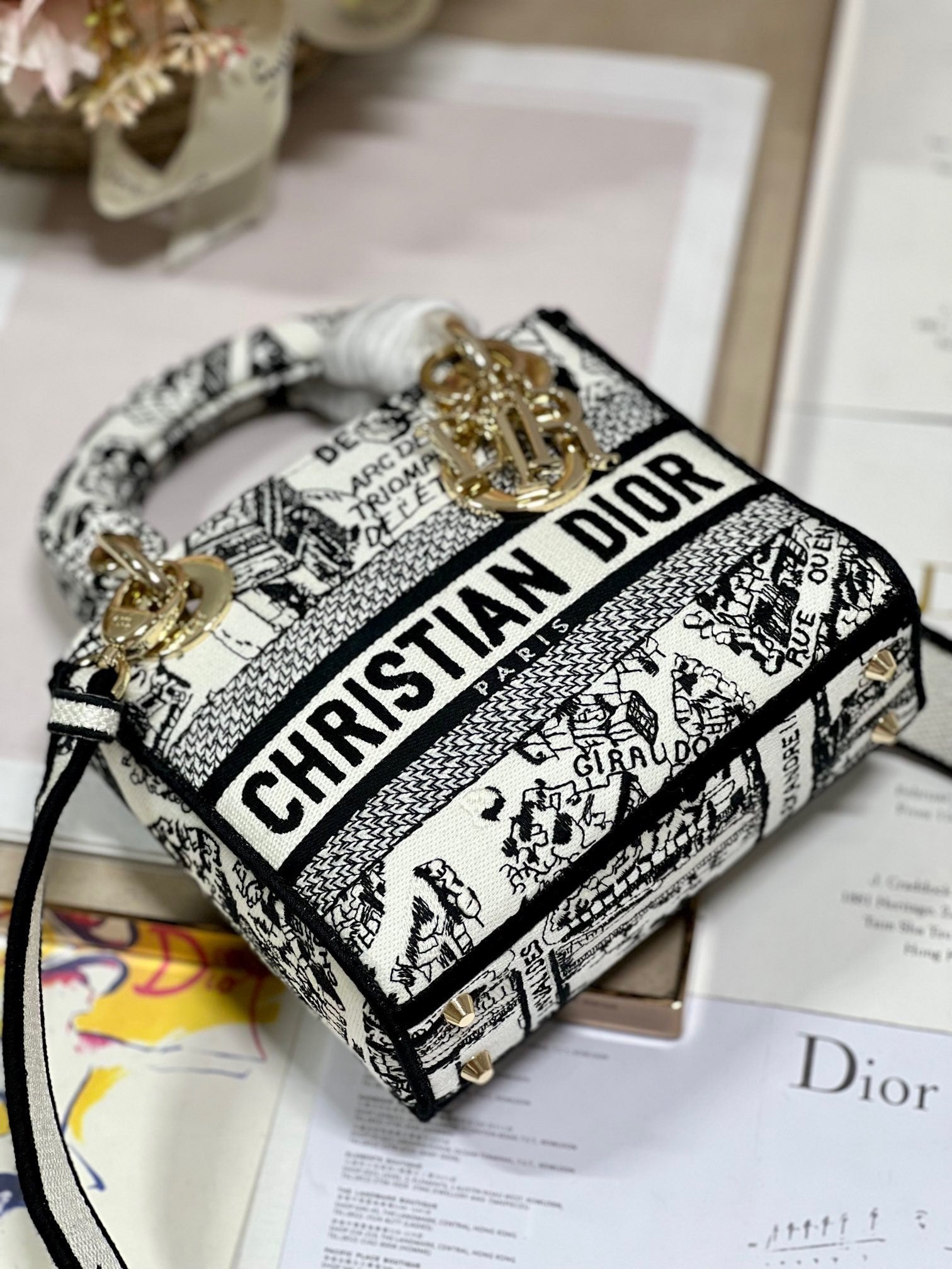 CD Paris White 17 Lady Dior Bag Canvas 336756 mysite