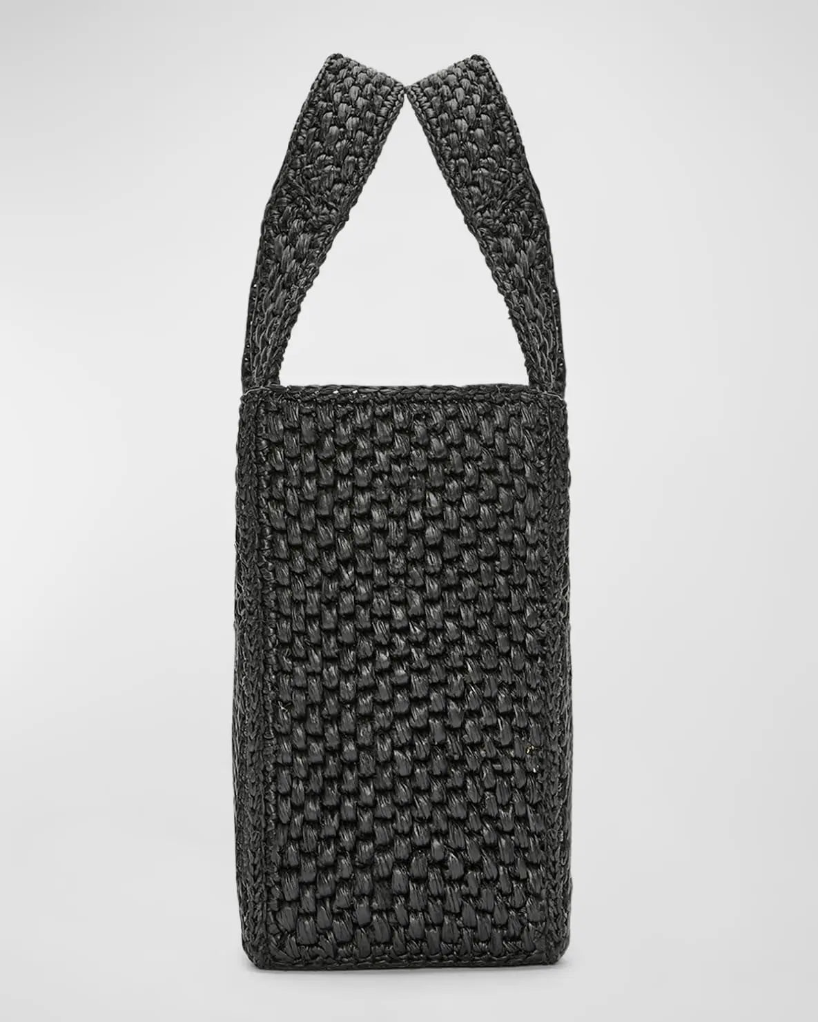 LOEWE x Paula¡¯s Ibiza Font Tote Small Bag in Raffia mysite