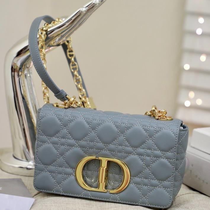 SMALL CARO BAG GRAY SUPPLE CANNAGE CALFSKIN mysite