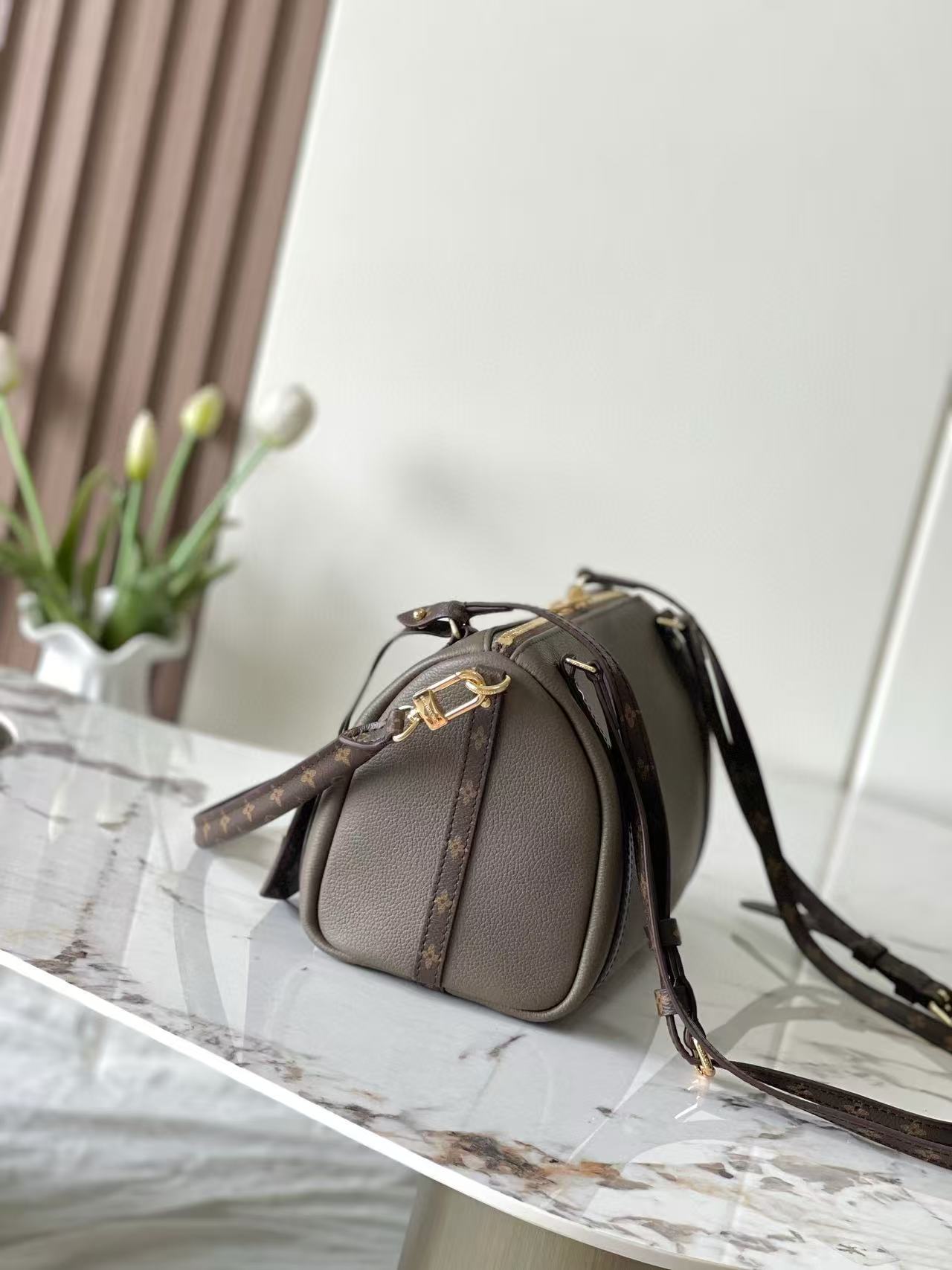 LV Express Bag 26cm Soft Gray Mix Brown Calfskin mysite