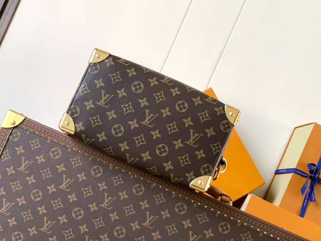 LV Speedy Trunk Bag 20cm Black Brown Cowhide Canvas mysite