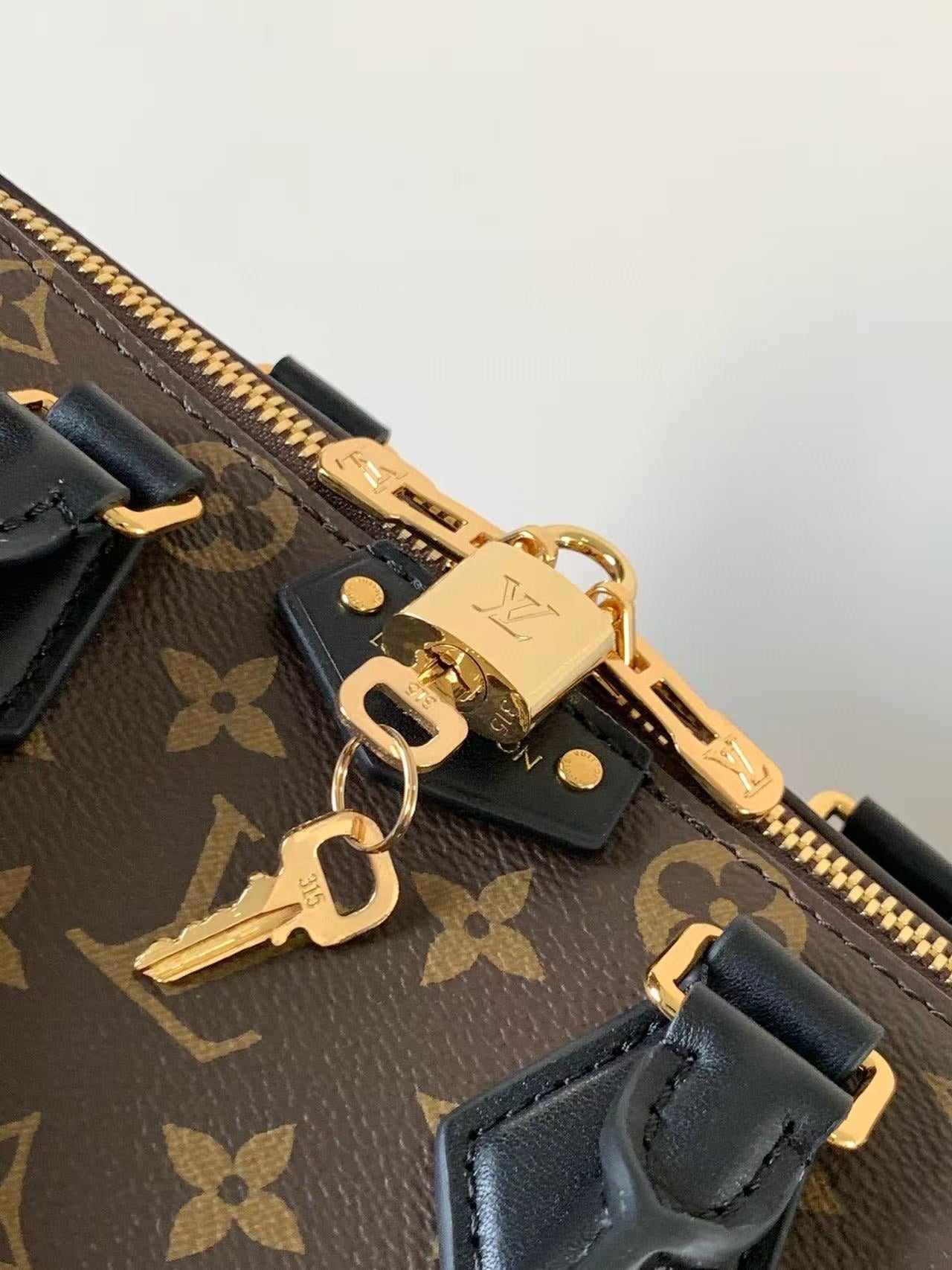 LV Speedy Trunk Bag 20cm Black Brown Cowhide Canvas mysite