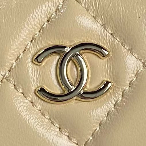 MEDIUM CAMERA BAG 23 IN BEIGE YELLOW LAMBSKIN GOLD HARDWARE mysite