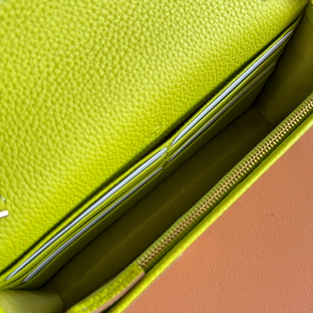 Gucci Marmont Chain Wallet Brown mix Light Green Leather 254943 mysite