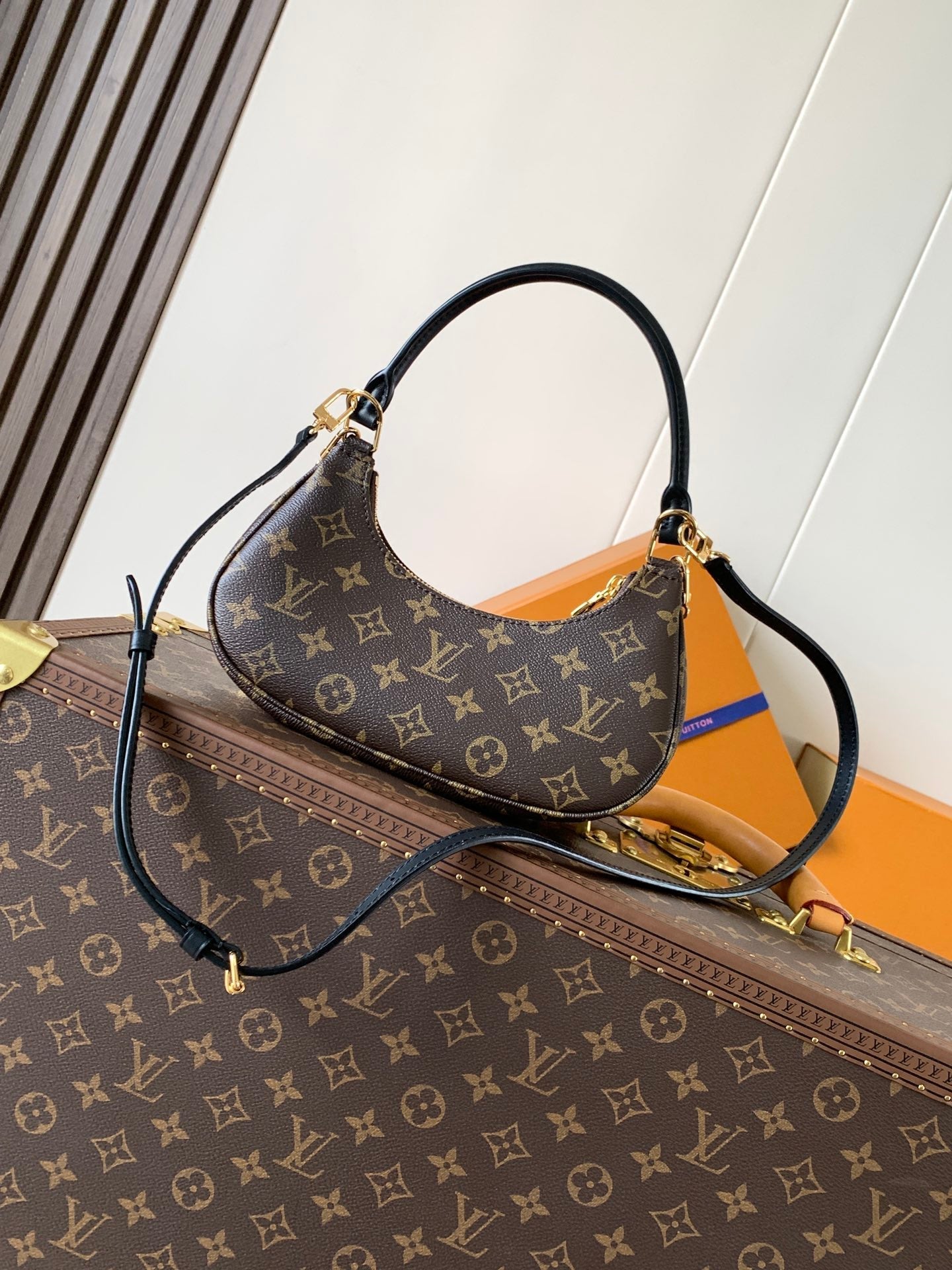 LV Catchy PM 24cm Brown Monogram Canvas & Cowhide mysite