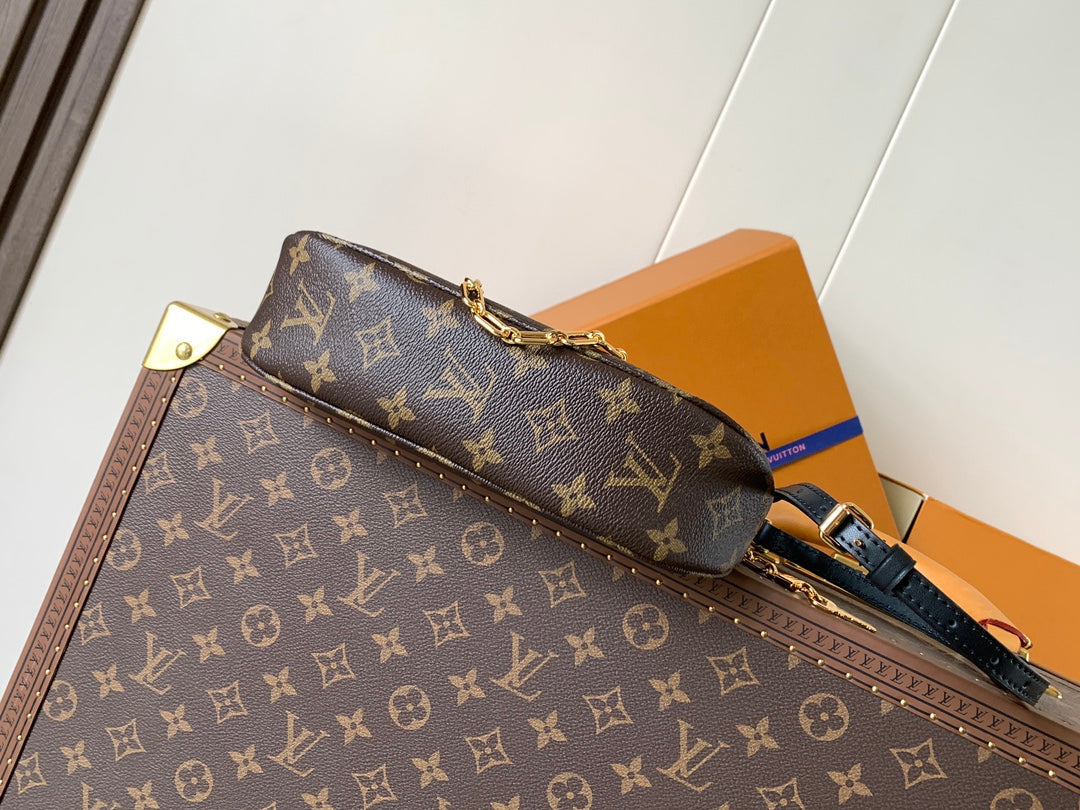 LV Catchy PM 24cm Brown Monogram Canvas & Cowhide mysite