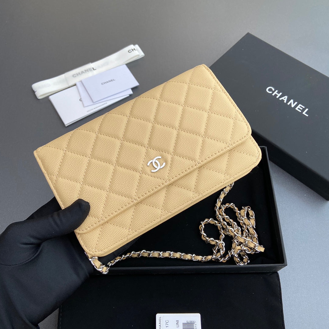 CC Woc 20cm Lime Grained Calfskin Silver Hardware mysite
