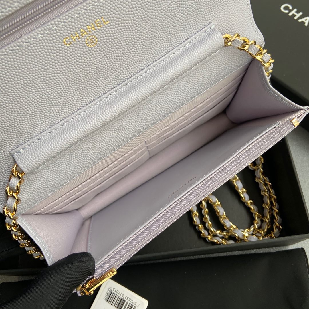 CC Woc 20cm Light Blue Grained Calfskin Gold Hardware mysite