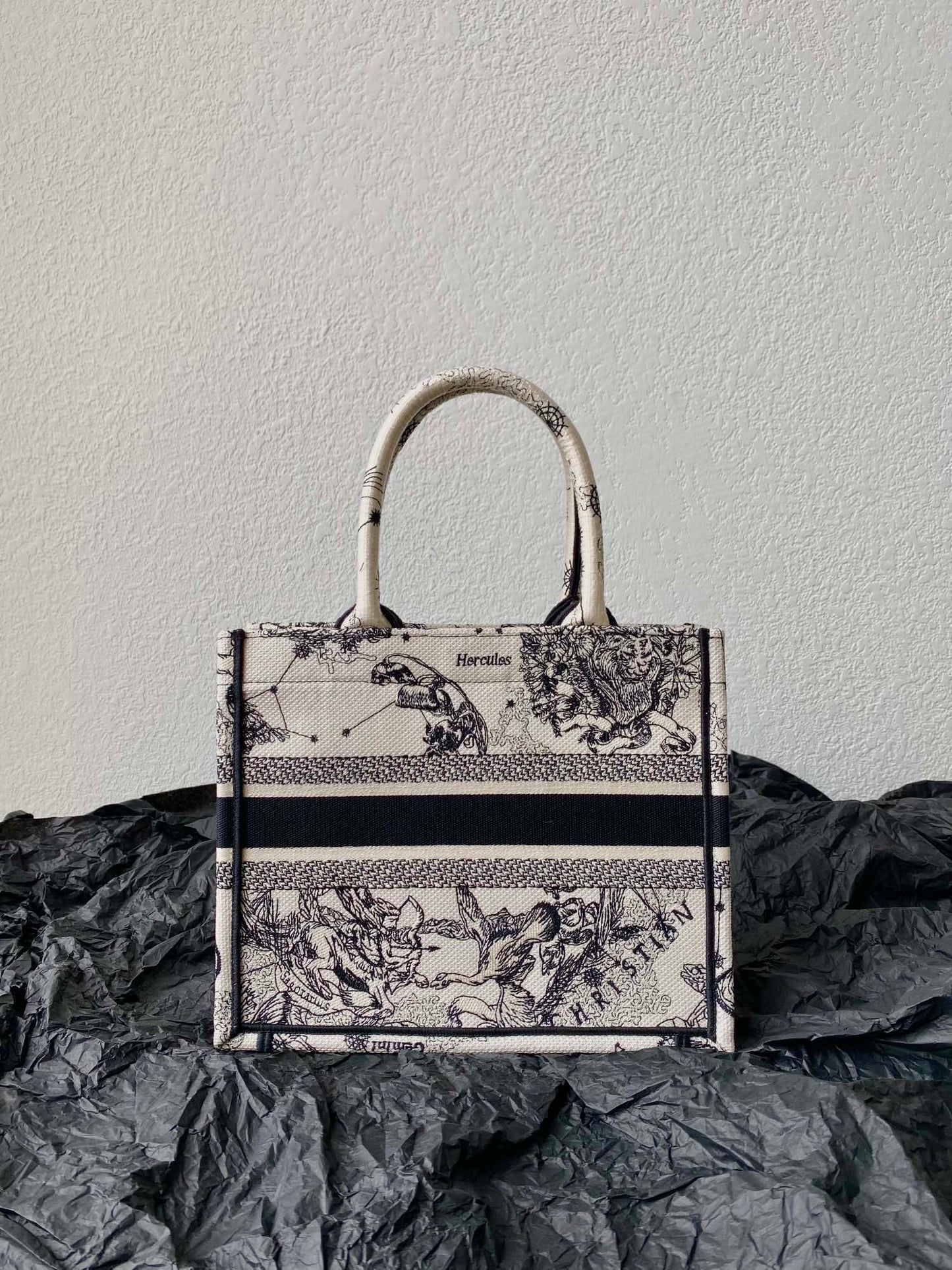 Small CD Book Tote 26.5cm Hercules White mysite