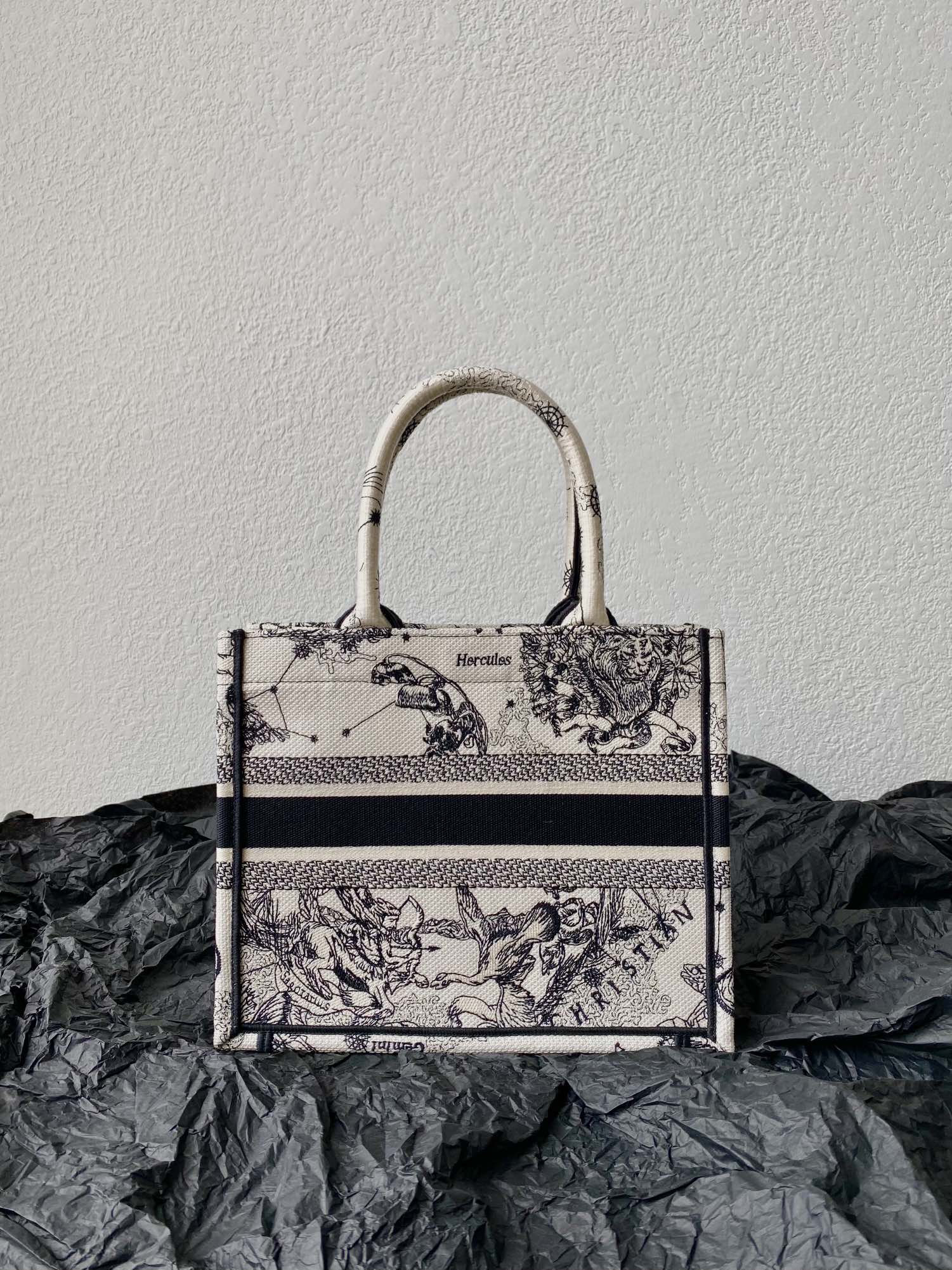 Small CD Book Tote 26.5cm Hercules White mysite