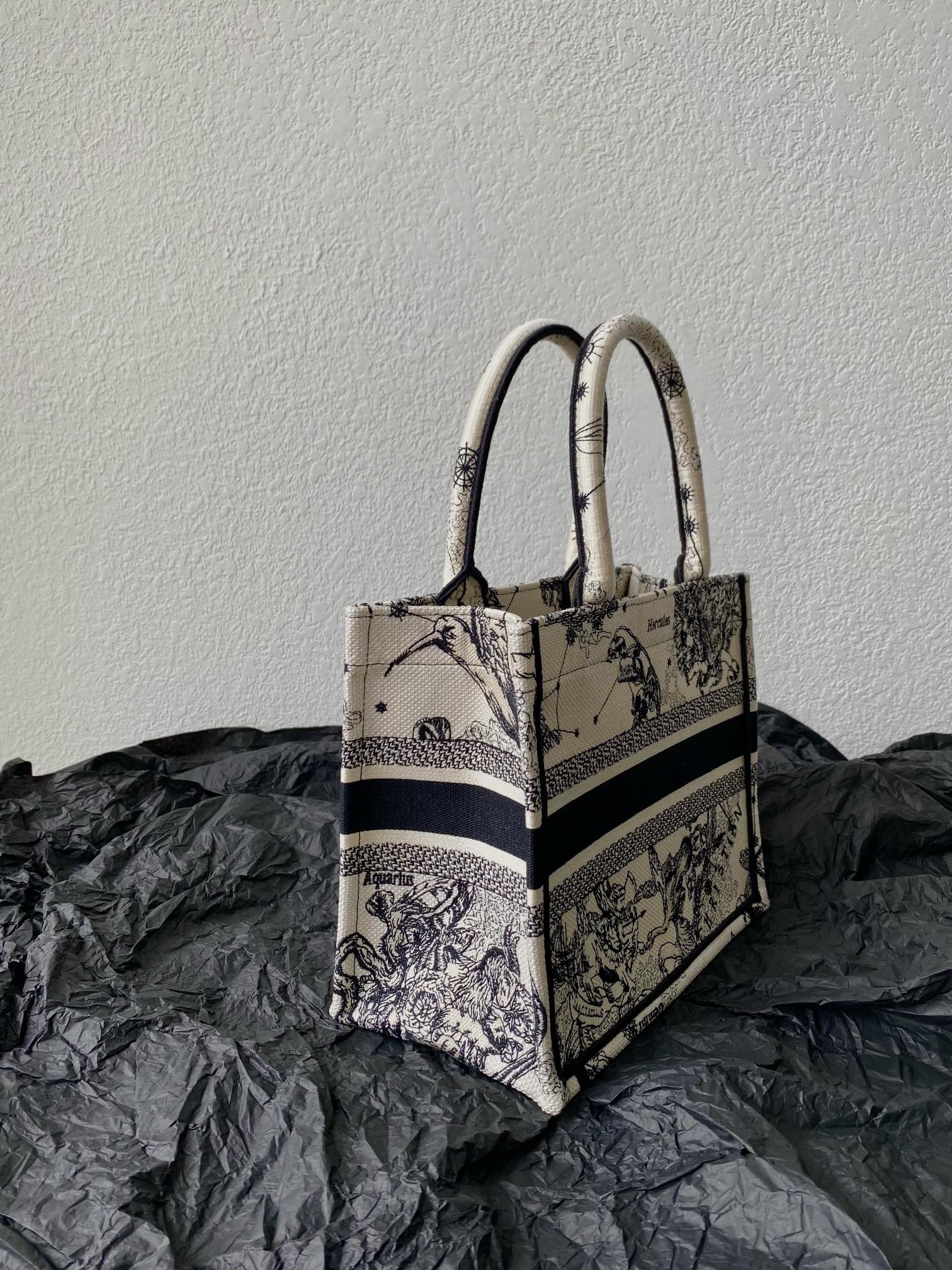 Small CD Book Tote 26.5cm Hercules White mysite